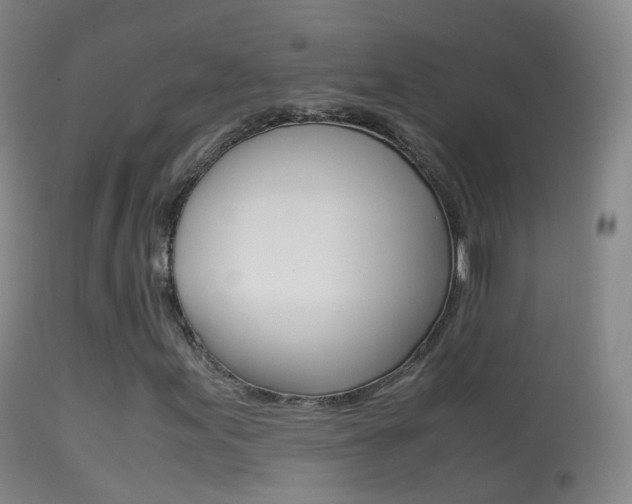 X0000114681155200910211025