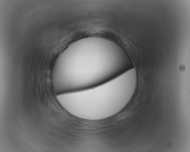X0000114681156200910211025