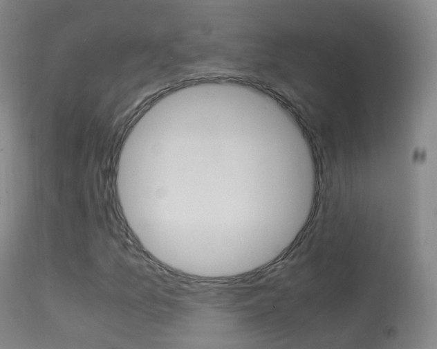 X0000114681157200910211025
