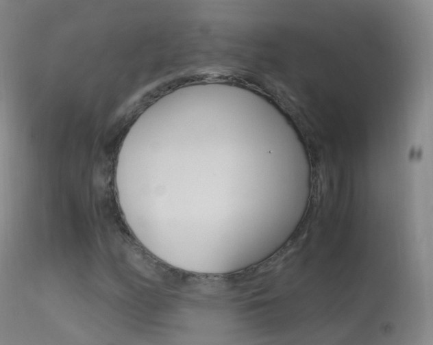 X0000114681158200910211025