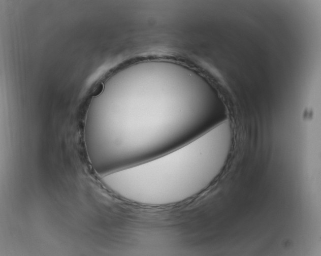 X0000114681160200910211025