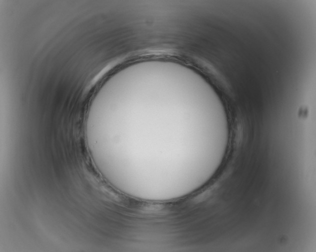 X0000114681162200910211025