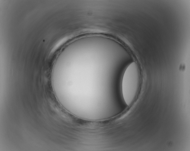 X0000114681163200910211025