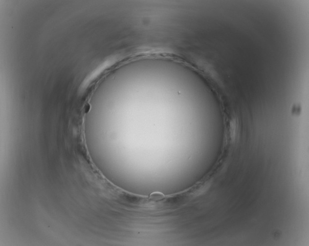 X0000114681165200910211025