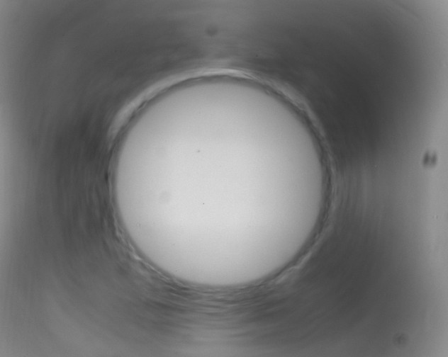 X0000114681167200910211025