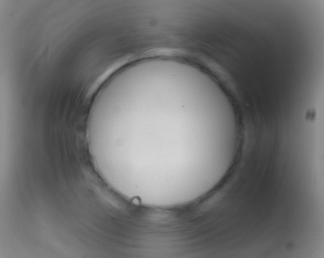 X0000114681170200910211025