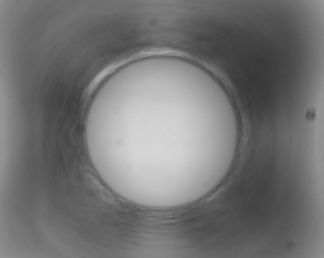 X0000114681173200910211025