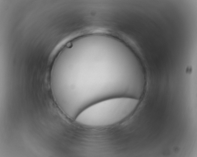X0000114681174200910211025
