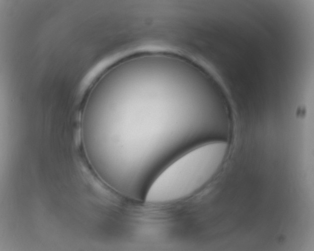 X0000114681175200910211025