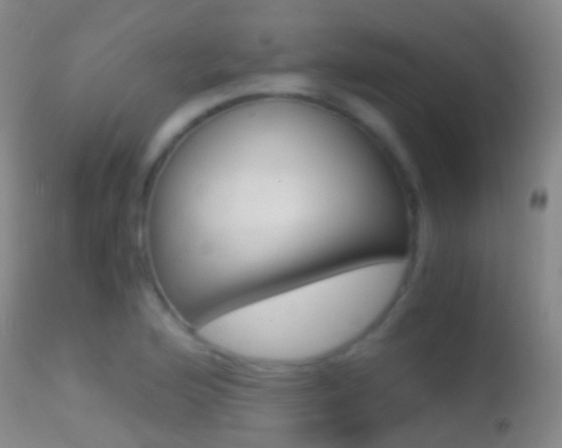 X0000114681176200910211025