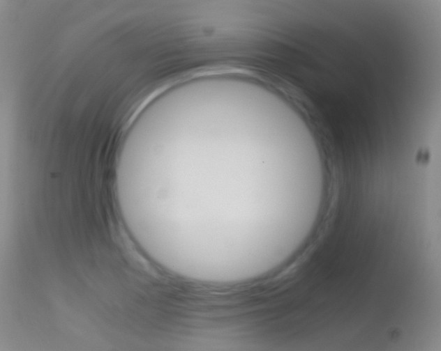 X0000114681177200910211025