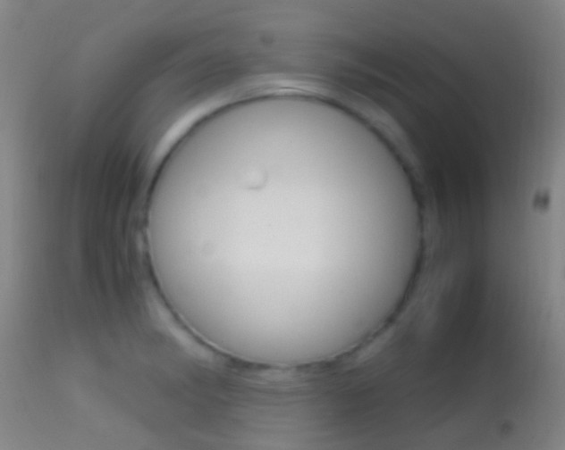 X0000114681182200910211025