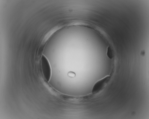 X0000114681185200910211025
