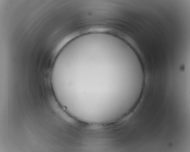 X0000114681186200910211025