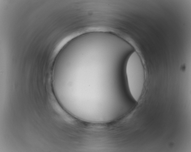 X0000114681187200910211025