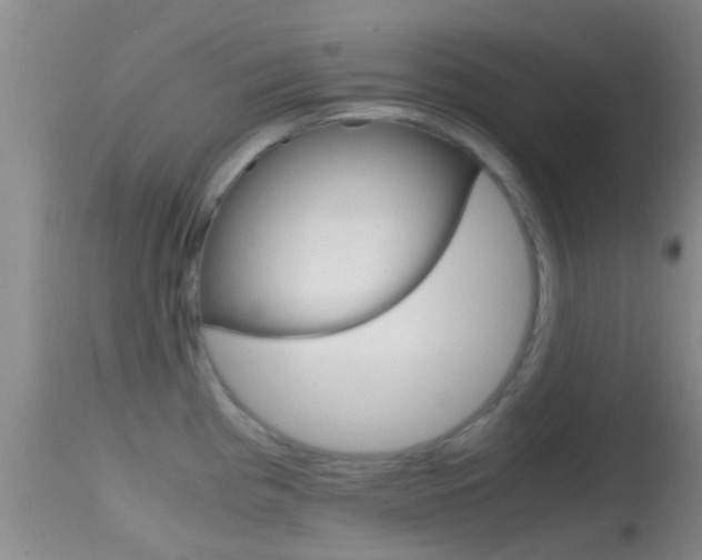 X0000114681193200910211025