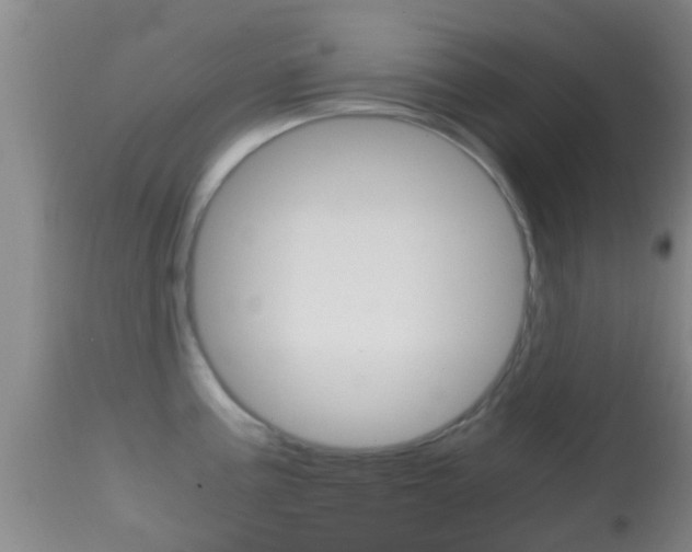 X0000114681195200910211025