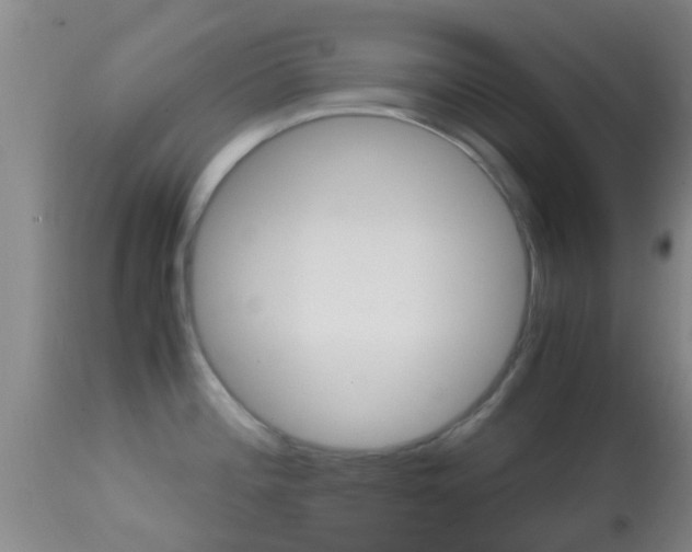 X0000114681196200910211025