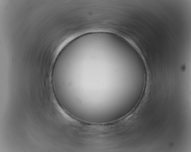 X0000114681197200910211025