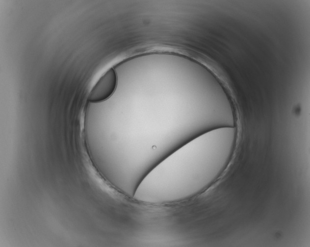 X0000114681198200910211025