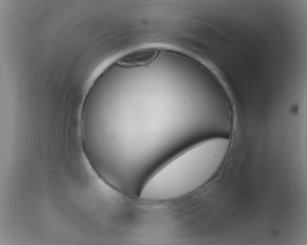 X0000114681199200910211025