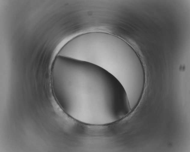 X0000114681200200910211025