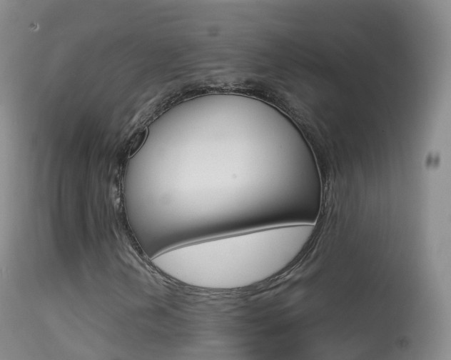X0000114681202200910211024