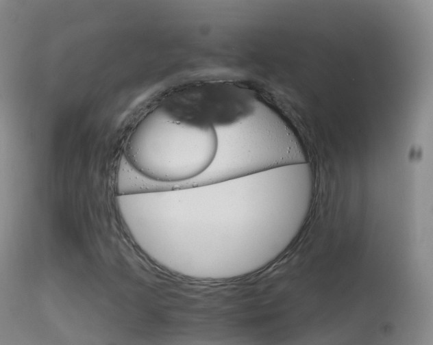 X0000114681205200910211024