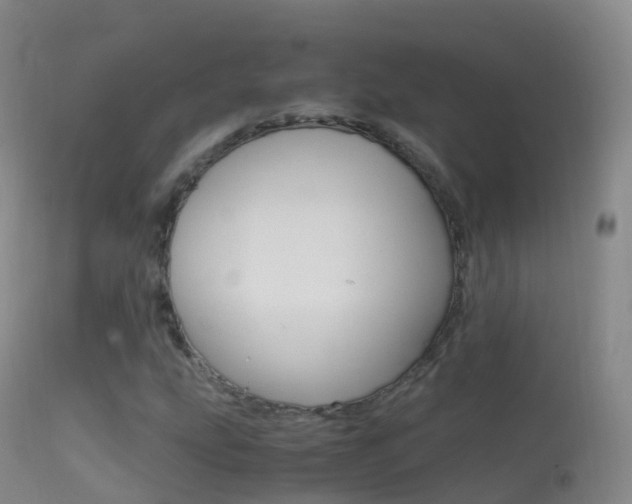 X0000114681207200910211024