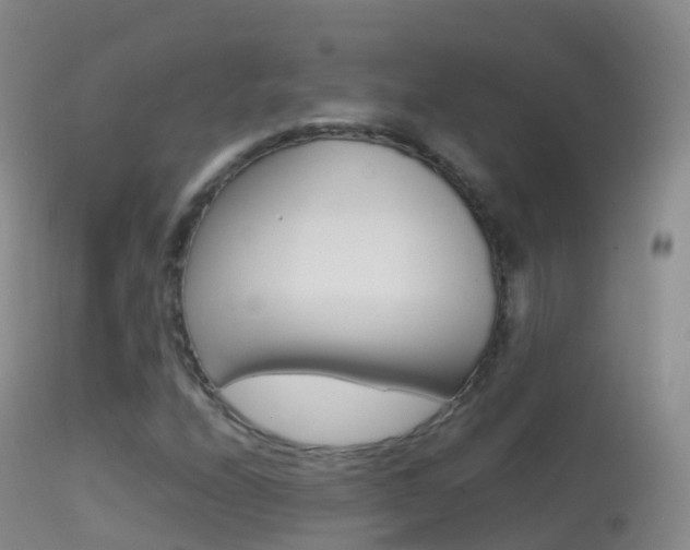 X0000114681208200910211024