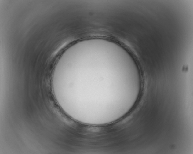 X0000114681211200910211024