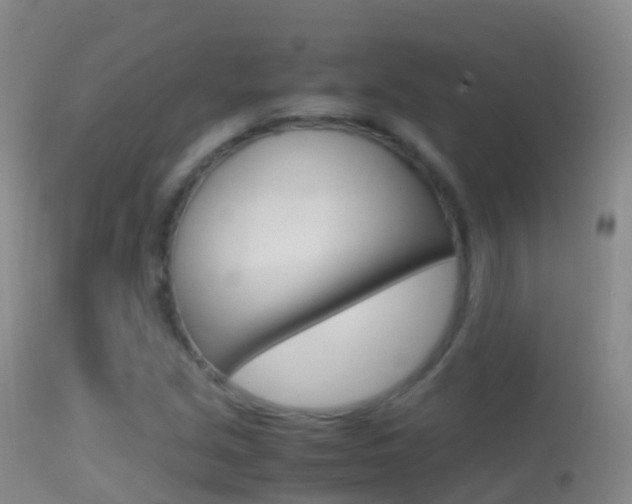X0000114681213200910211024
