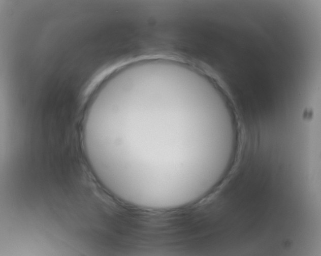 X0000114681215200910211024