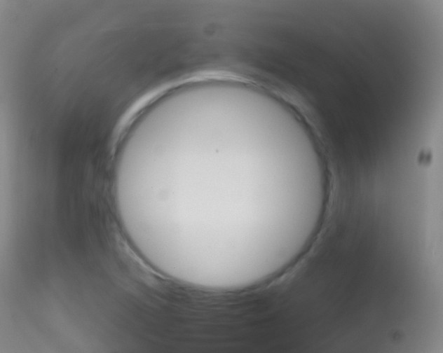 X0000114681216200910211024
