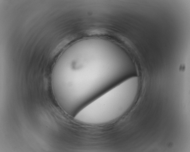 X0000114681217200910211024