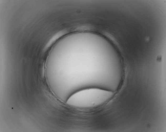 X0000114681219200910211024