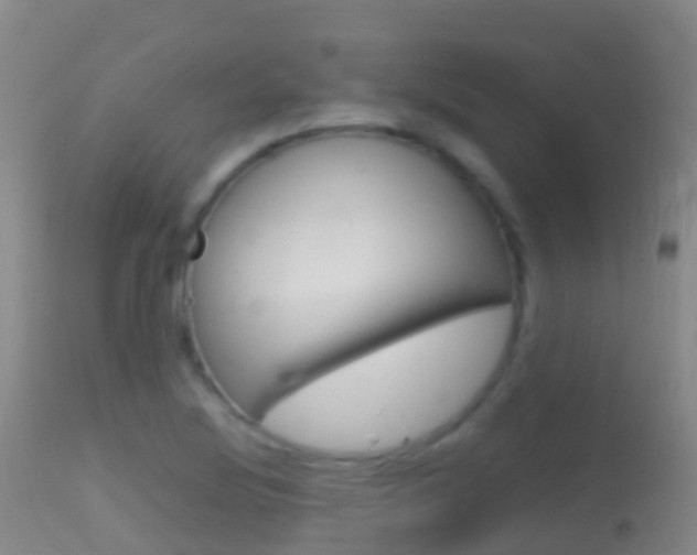 X0000114681220200910211024