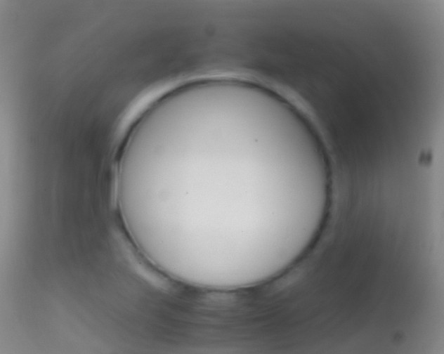X0000114681223200910211024