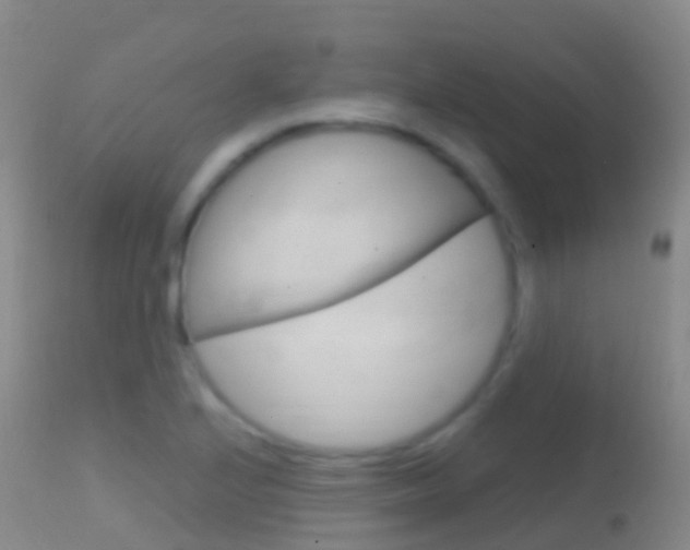 X0000114681224200910211024