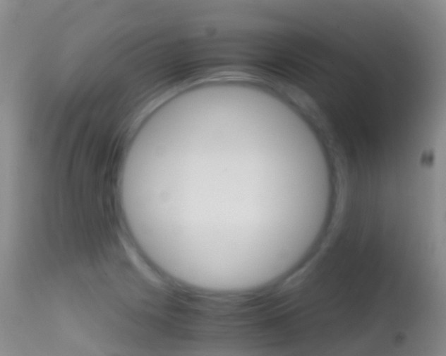 X0000114681225200910211024