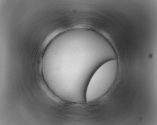 X0000114681227200910211024