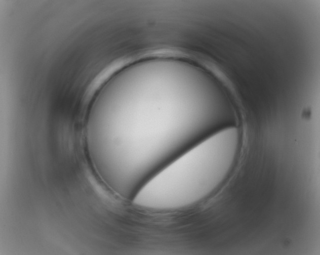 X0000114681229200910211024