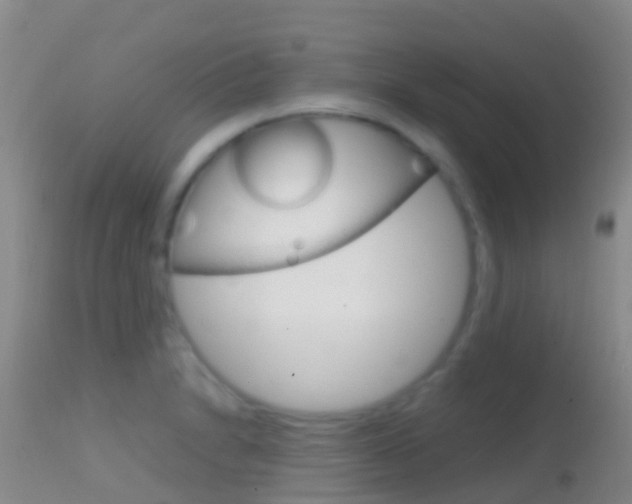 X0000114681230200910211024