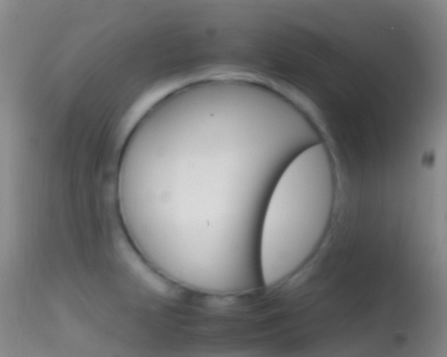 X0000114681231200910211024