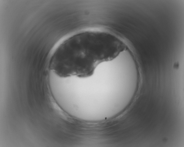 X0000114681232200910211024