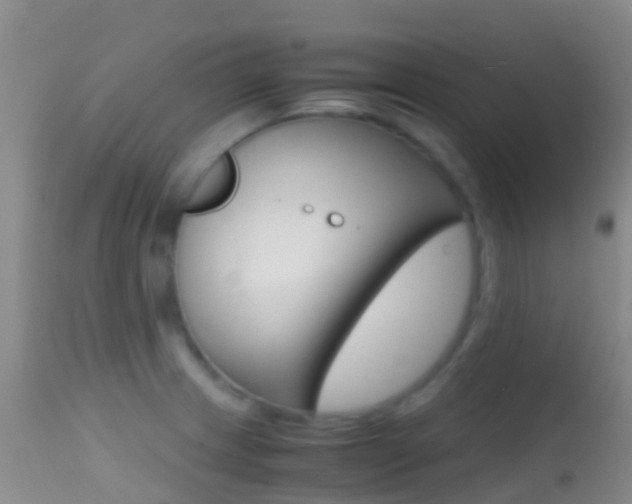 X0000114681233200910211024
