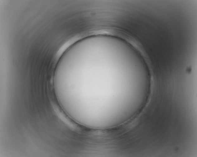 X0000114681234200910211024