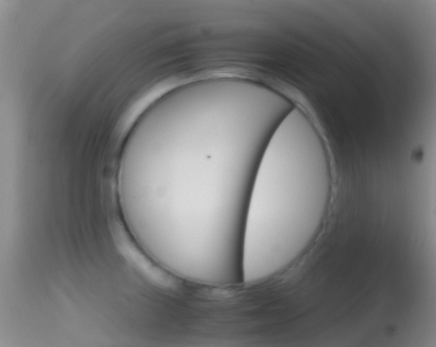 X0000114681235200910211024