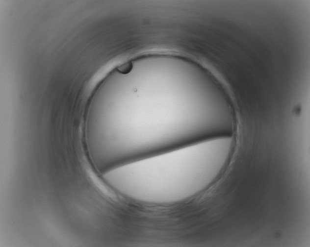 X0000114681237200910211024