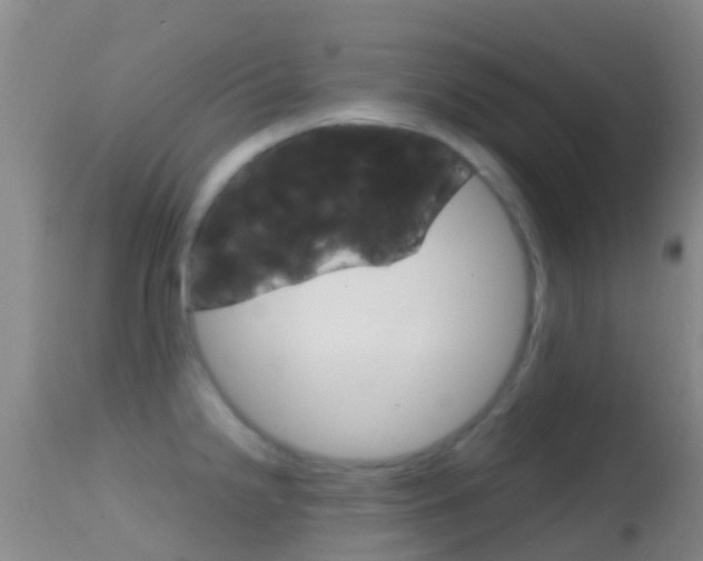 X0000114681238200910211024